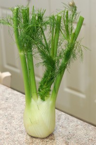 Fennel_01