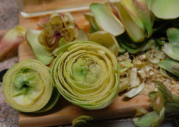 Artichoke_24