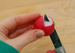 Carving Radish